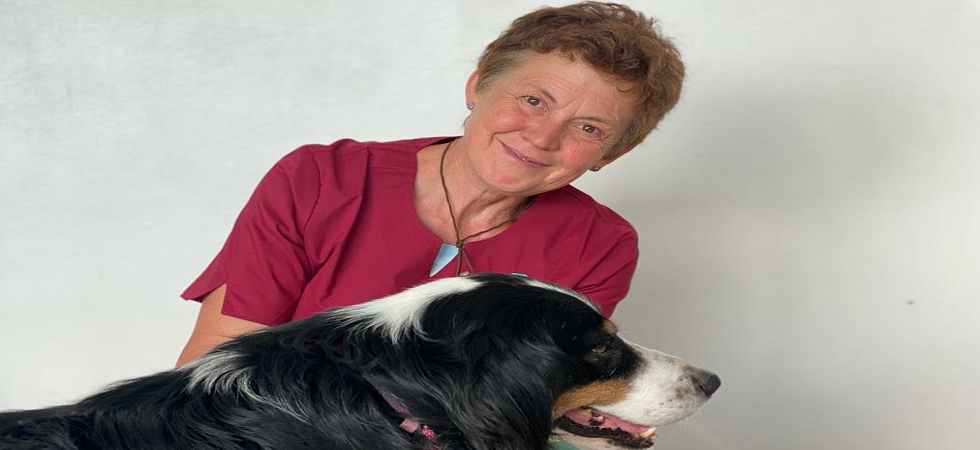 Dal gatto che fa i bisogni dove non deve al cane che abbaia sempre